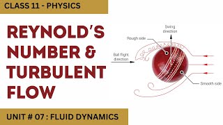 Reynolds Number and Turbulent Flow Unit 7 Fluid Dynamics Class 11 Physics [upl. by Yelime]