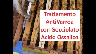 Gocciolato Acido Ossalico  Trattamento Anti Varroa [upl. by Derwin]