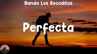 Banda Los Recoditos  Perfecta letra [upl. by Nagyam]