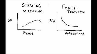 Frank Starling Mechanism [upl. by Vladimir38]