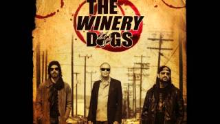 The Winery Dogs  Damaged [upl. by Ginelle]