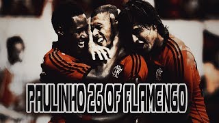 Paulinho ● CR Flamengo ● Skills amp Goals HD [upl. by Inessa]