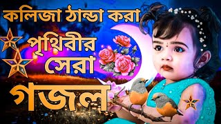 কলিজা ঠান্ডা করা সুরে পৃথিবীর সেরা গজল। New 2023 Bangla Gojol  SelimShikhon 2025 [upl. by Arratoon]