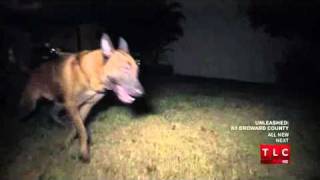 Unleashed K9 Broward County S01 E01 Parte 1 [upl. by Reo]