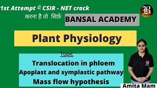 Translocation in phloem  Apoplast and symplastic pathway  Mass flow hypothesis  Lec4  CsirNet [upl. by Inohtna768]