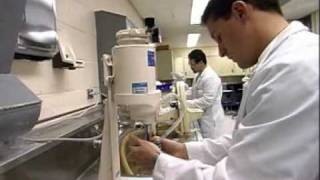 Dental Laboratory Technicians [upl. by Aviva]