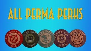 All Perma Perks Persistent Upgrades How to get  lose  KEEP Call of Duty Black Ops 2 [upl. by Eigla]