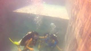 Discover Twin Tank Scuba Diving in Puerto Galera [upl. by Nylla]