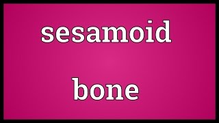 Sesamoid bone Meaning [upl. by Eitnom]