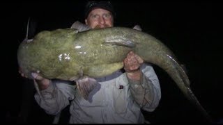 Night Fishing For Flatheads In Shallow Water [upl. by Sulakcin]