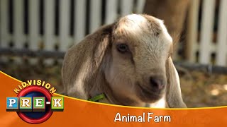 Animal Farm  Virtual Field Trip  KidVision PreK [upl. by Anaihsat]