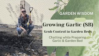 Garlic  Preparing Garlic for Planting Treating for Grubs when Preparing the Garden Bed [upl. by Lanos]