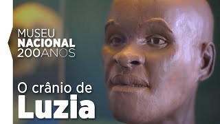 O crânio de Luzia é um dos tesouros do Museu Nacional [upl. by Ailaht740]