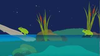 Frog Life Cycle Animation [upl. by Loginov]