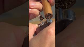 Enjoying the late summer renaissance and firing up an EGM Robusto in London 👑 asmr asmrsounds [upl. by Ninaj653]