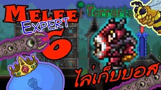 Terraria Melee Expert ตอนที่ 6 เก็บมันให้หมด จะเข้าฮาร์ดโหมดแล้ว [upl. by Ylicec]