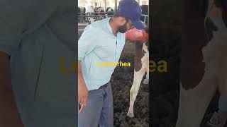 leukorrhea treatmentdairyviral ytshorts [upl. by Filbert]