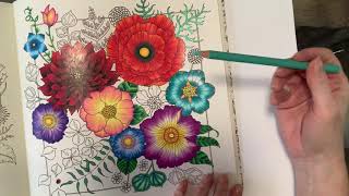 Johanna Basford World of Flowers  shiny flower petals made easy  Claire Holoway Colouring [upl. by Amethyst]