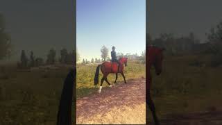 New environment 🌲 horsegame horse astride equestrian horses pony horsebackriding riding [upl. by Alene242]