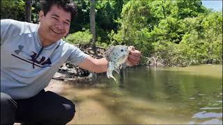 fishing and sightseeing Nashville [upl. by Ronile606]