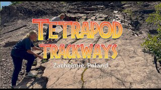 Zachelmie trackways tetrapod Poland [upl. by Garvy223]