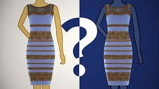 The Color Of The Dress According To Science [upl. by Egon170]