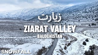 Ziarat Balochistan  Snowfall Tour in March 2024 Expedition Pakistan 4K [upl. by Claudetta]