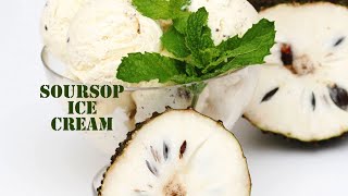 HOW TO MAKE SOURSOP ICE CREAM [upl. by Sinegra]