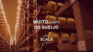 Scala 6 décadas de história Muito Além do Queijo [upl. by Ayekal]