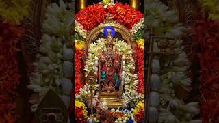 Azhagellam Murugane Arulellam Murugane அழகெல்லாம் முருகனே murugansongs god murugan trending [upl. by Lyrret]