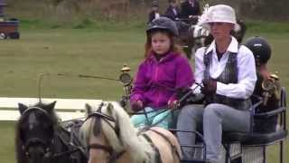 KINDERFAHRTURNIER Teil 1 Dressur [upl. by Jacquenette366]