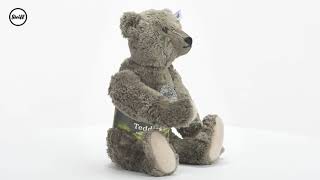 Steiff Richard Steiff Teddy Bear Teddies for Tomorrow 007125 [upl. by Sisson]