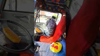 dkfholidays convinsingstar comedy automobile shrts bus travel kollam mevaram [upl. by Nuri]