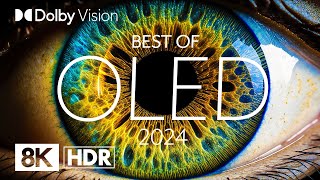 BEST OLED 2024  DOLBY VISION® 8K HDR [upl. by Oirtemed922]