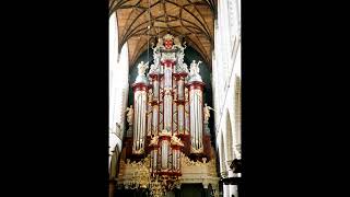 Buxtehude Prelude in G Minor BuxWV 149  Wim Voogd [upl. by Ethelbert274]