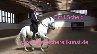 Piaffe Passage Training 1 Emil Scheid Klassische Reitkunst [upl. by Grefe292]