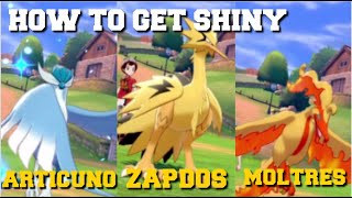 HOW TO GET SHINY GALARIAN ARTICUNOZAPDOS amp MOLTRES IN POKEMON SWORD AND SHIELD [upl. by Dilahk]