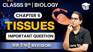 Tissues Class 9  Important Questions  Class 9 Science Biology Chapter 2  Mcq [upl. by Nomzed]