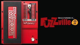 Digitech Whammy 5 [upl. by Salesin]