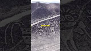 Nazca Lines NEW amazing discoveries short [upl. by Nnylsaj]