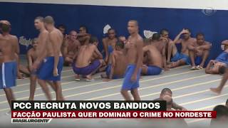 PCC quer dominar o crime no Nordeste [upl. by Valer]