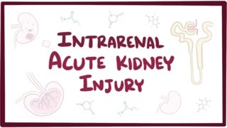 Intrarenal acute kidney injury acute renal failure  causes symptoms amp pathology [upl. by Dnanidref520]