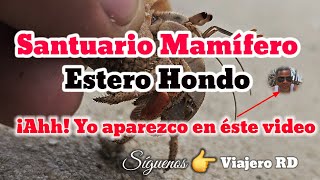 Santuario Marino de Estero Hondo quotSe mostró mi caraquot 🤣 [upl. by Nirre]