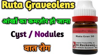 Ruta Graveolens II Ruta Graveolens Homeopathic Medicine II Ruta Graveolens Homeopathic Uses [upl. by Nwadrebma]