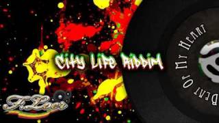 City Life Riddim  Reggae  2010  Mix By Floer [upl. by Aracaj]