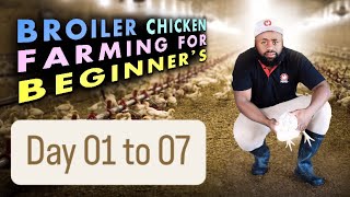 Day 0107 How to Brood DayOld Chicks in Winter  Low Mortality Tips for Broiler Chickens [upl. by Anilam164]