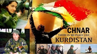 Chnar  Kurdistan  چـنار  كوردستان [upl. by Liddie]