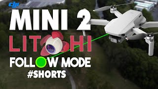 Testing DJI Mini 2 Follow Me Mode  Litchi Review [upl. by Achilles]