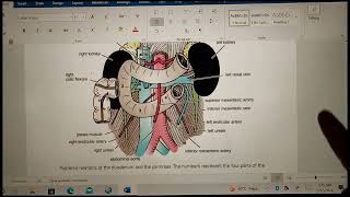 Duodenum anatomy  Small intestine features  Neurovascular supply Relations impmustwatch [upl. by Eissirhc]