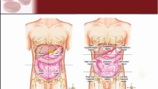 Chapter 1  Intro to Structure amp Function of the Body [upl. by Iteerp560]